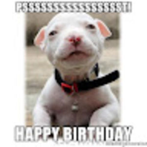 Meet your Posher, Shelly